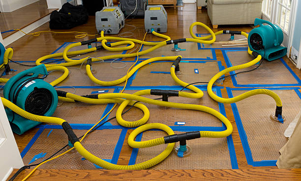 Professional Basement Flood Cleanup technician working in Marthasville, MO